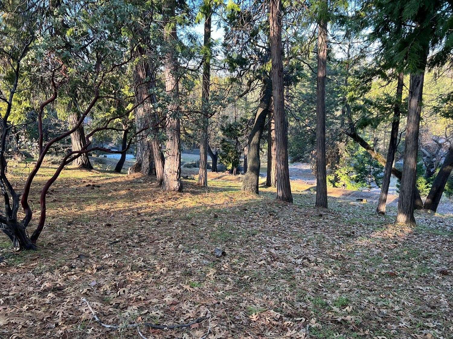 0.26 Acres of Residential Land for Sale in Murphys, California