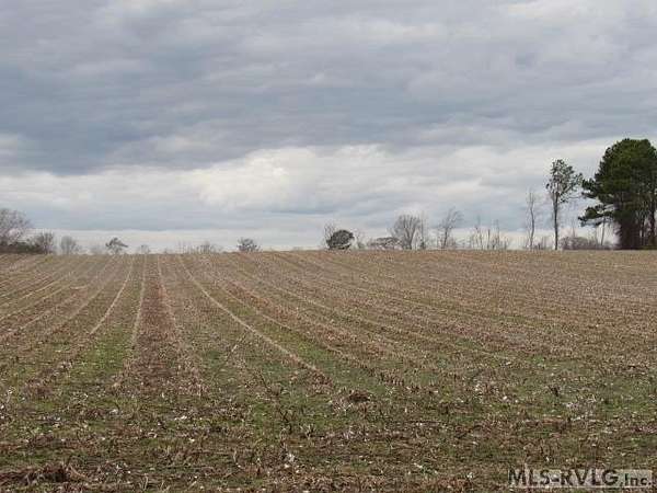 21.8 Acres of Agricultural Land for Sale in Murfreesboro, North Carolina