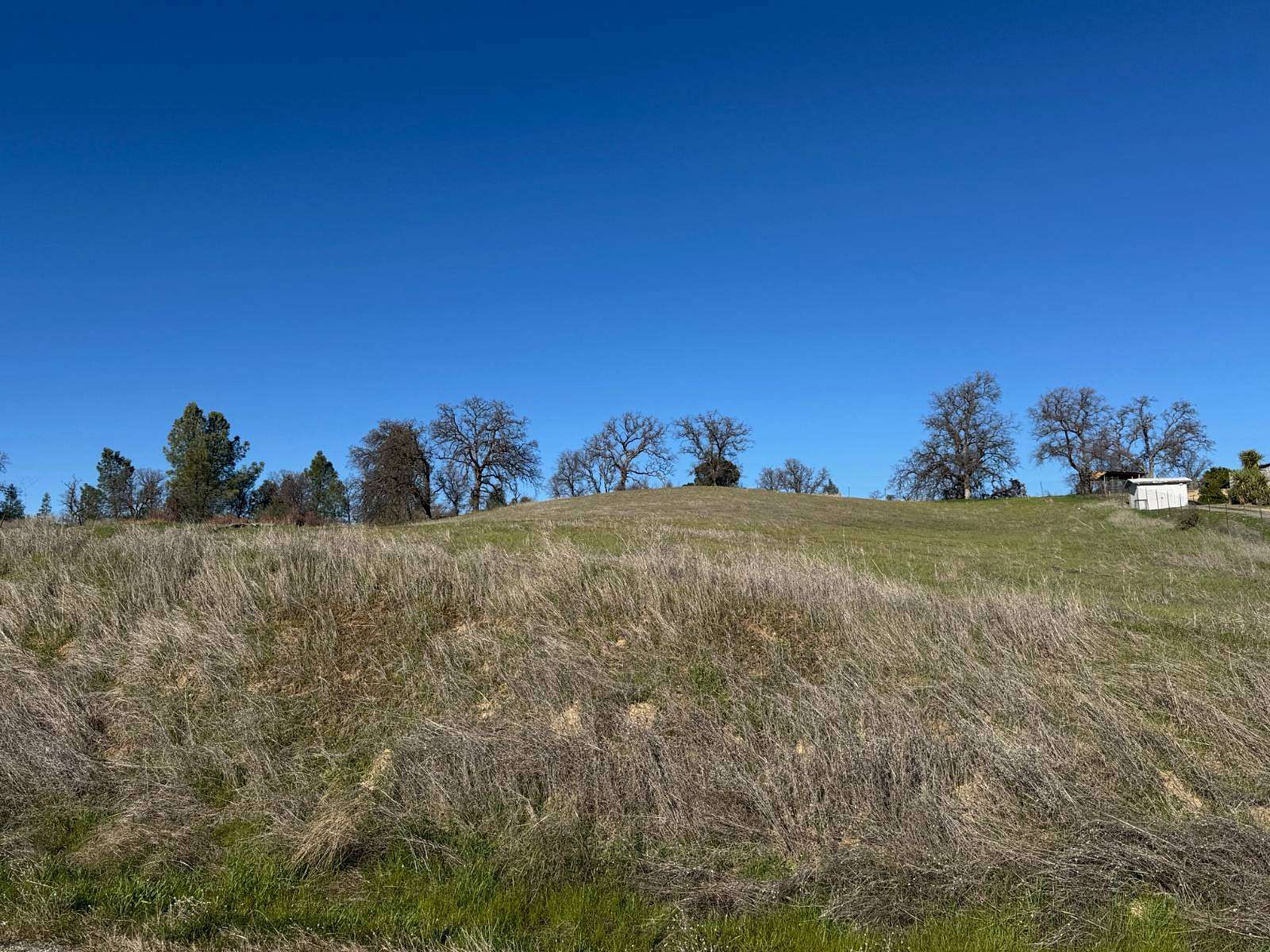0.99 Acres of Residential Land for Sale in Corning, California
