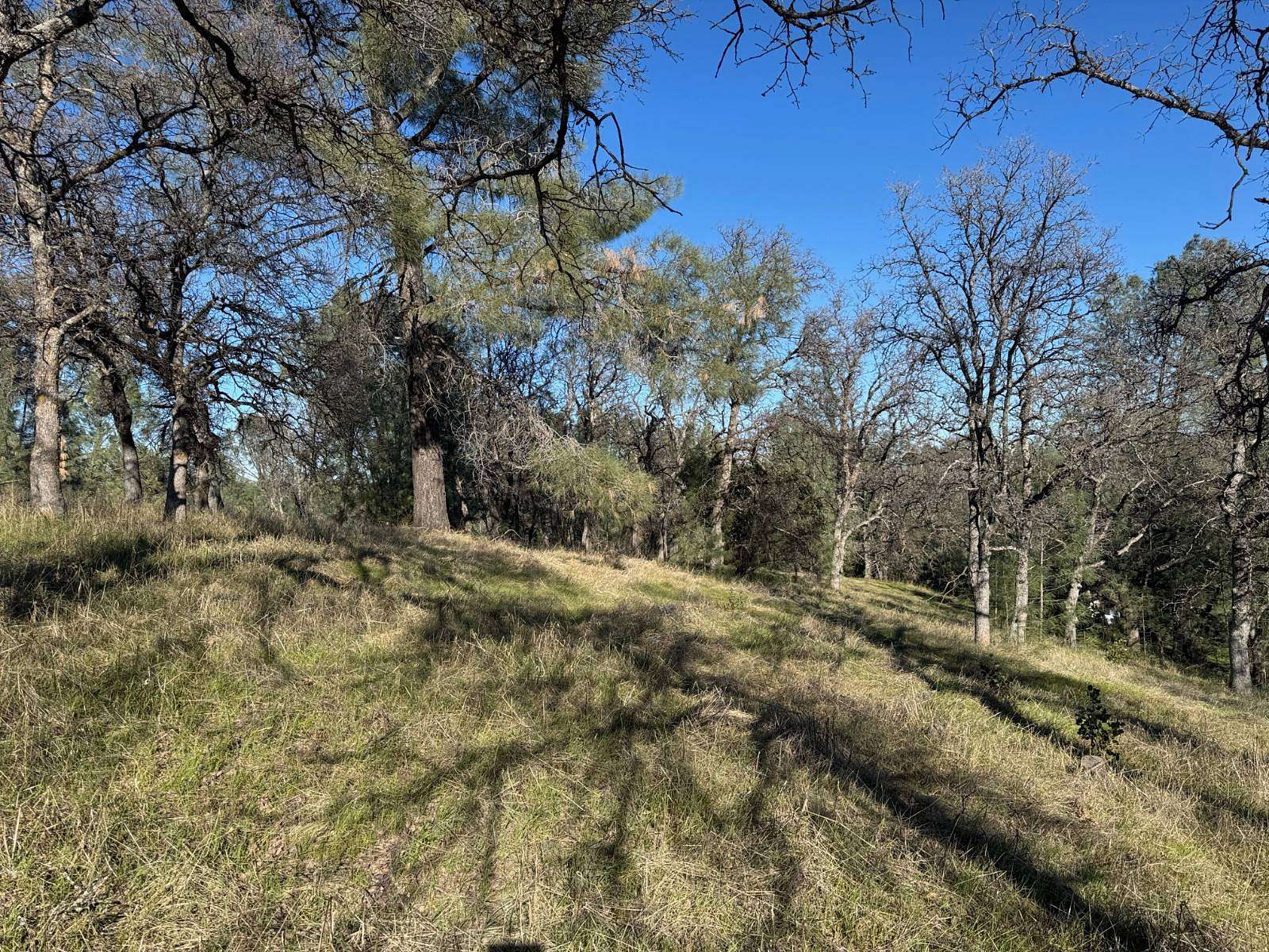 2 Acres of Land for Sale in Corning, California
