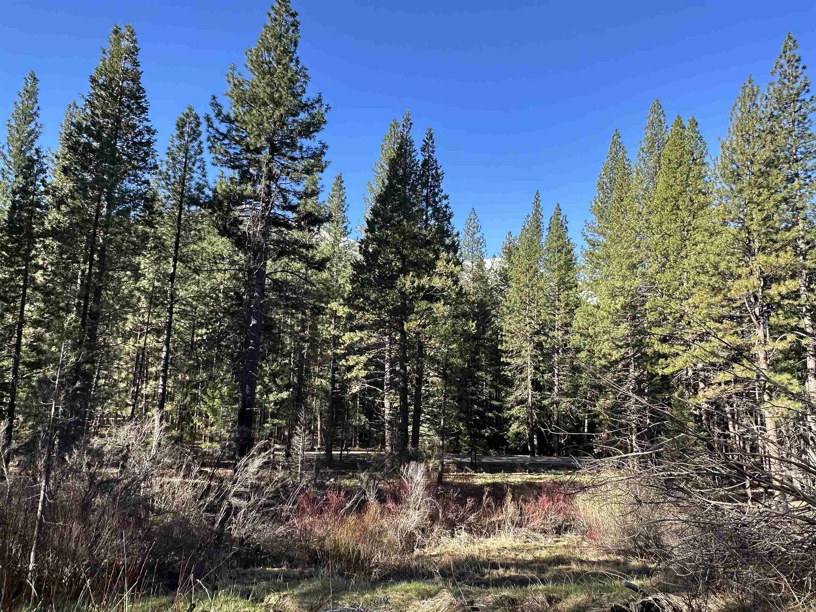 29.7 Acres of Recreational Land for Sale in Genesee, California