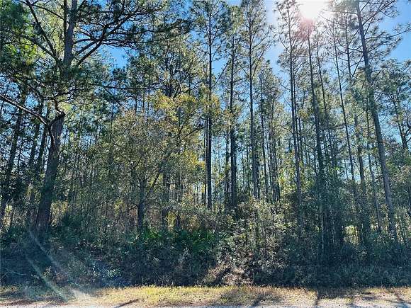 1.14 Acres of Residential Land for Sale in Hastings, Florida