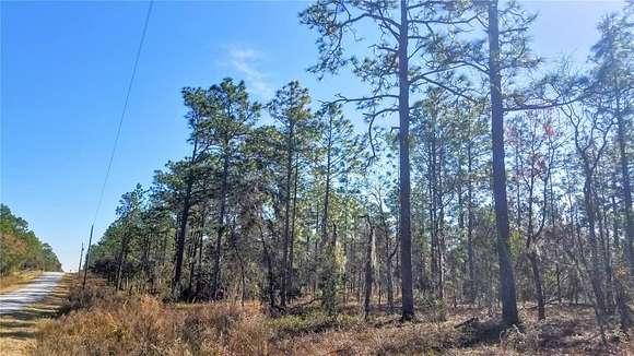 2 Acres of Residential Land for Sale in Dunnellon, Florida