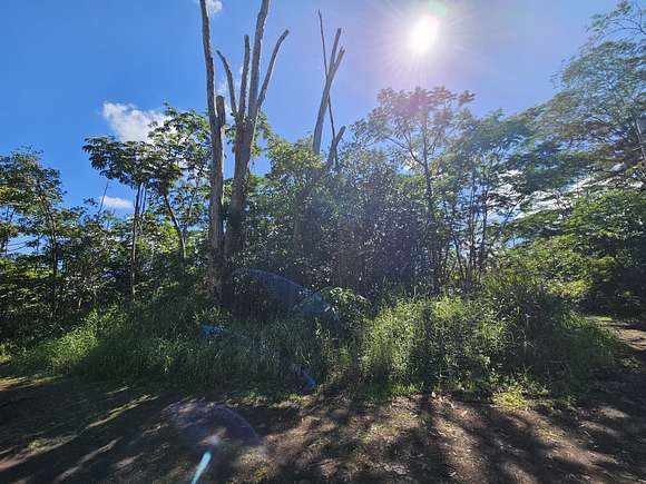 0.2 Acres of Residential Land for Sale in Kurtistown, Hawaii