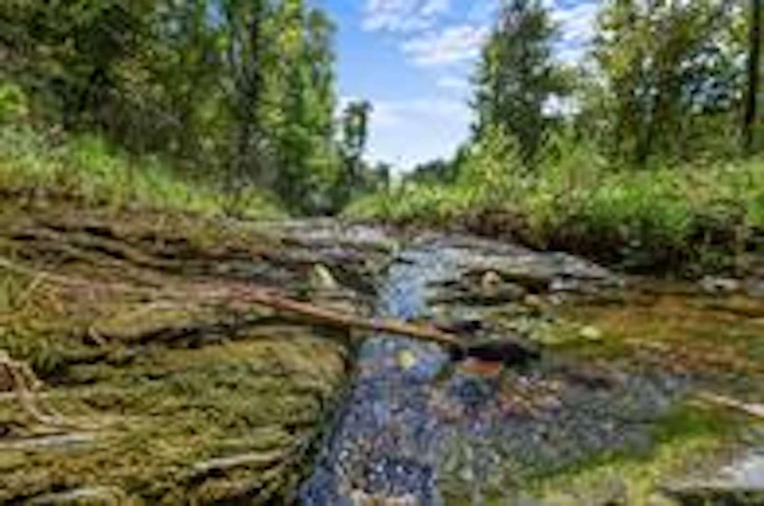 1.68 Acres of Land for Sale in Broken Bow, Oklahoma