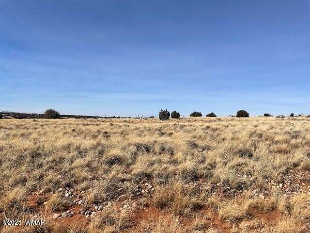 5.73 Acres of Residential Land for Sale in Snowflake, Arizona