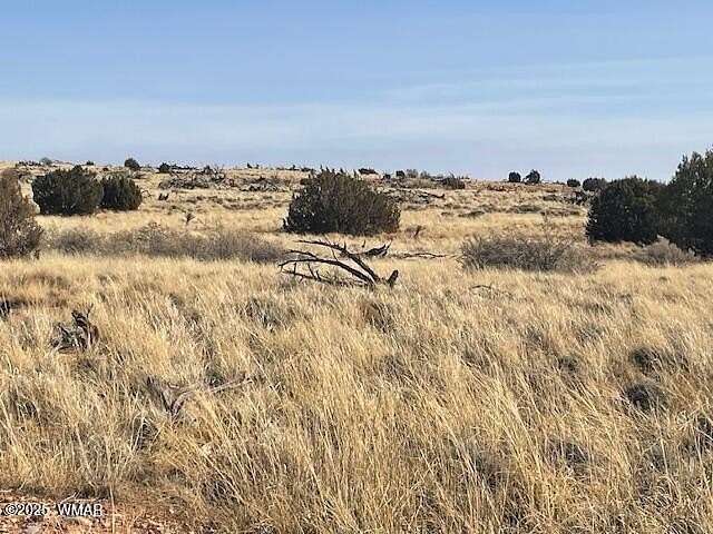 6 Acres of Residential Land for Sale in Snowflake, Arizona