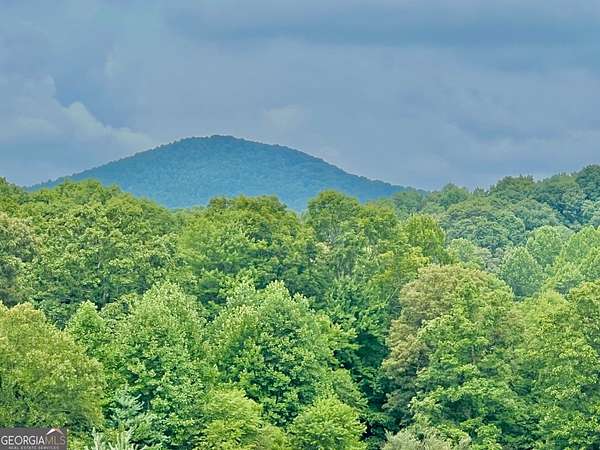 1.4 Acres of Residential Land for Sale in Blairsville, Georgia