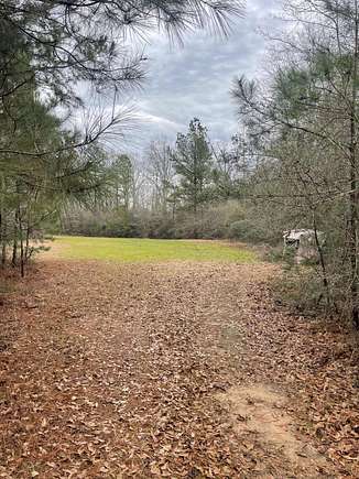 36.8 Acres of Land for Sale in Prentiss, Mississippi