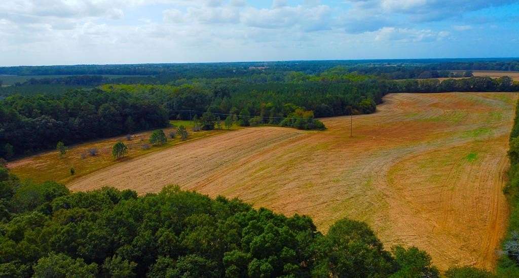 83 Acres of Recreational & Residential Land for Sale in Headland, Alabama