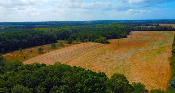 83 Acres of Recreational Land for Sale in Headland, Alabama