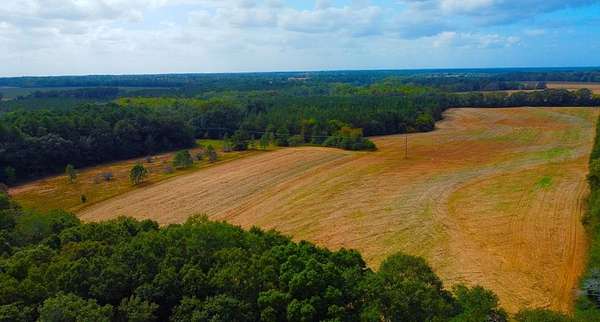 83 Acres of Recreational & Residential Land for Sale in Headland, Alabama