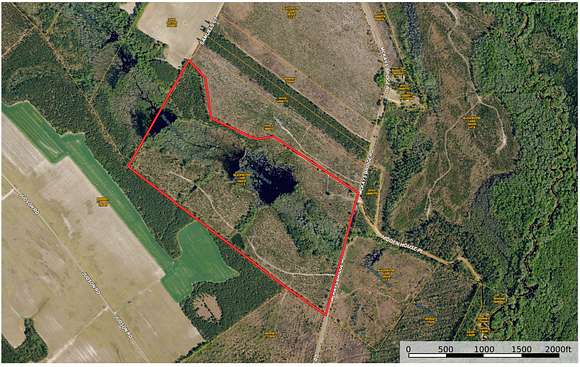 103 Acres of Recreational Land for Sale in Little Rock, South Carolina