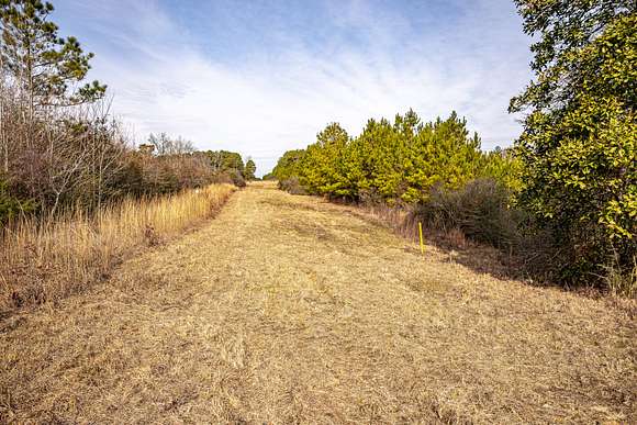 33 Acres of Recreational Land for Sale in Collins, Mississippi