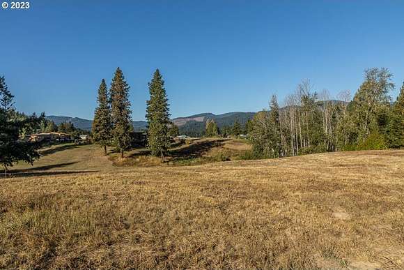 0.47 Acres of Residential Land for Sale in White Salmon, Washington