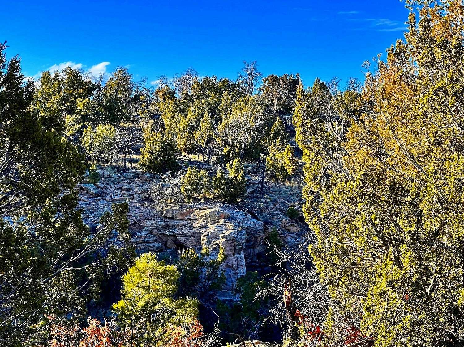 2.5 Acres of Residential Land for Sale in Pinehill, New Mexico