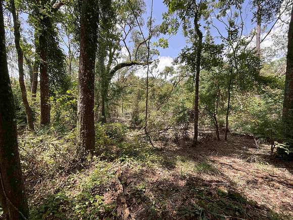 2.56 Acres of Residential Land for Sale in Mayo, Florida