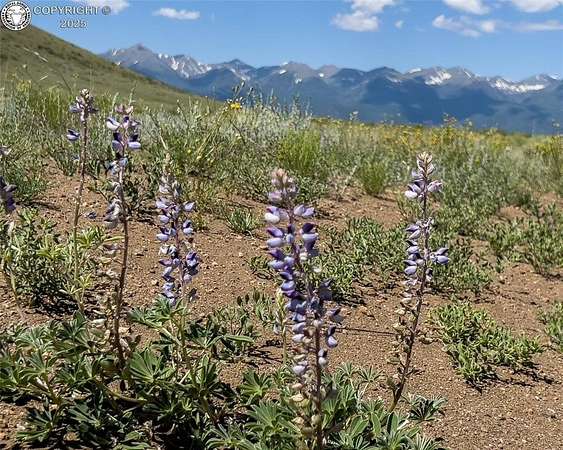 37.9 Acres of Recreational & Residential Land for Sale in Westcliffe, Colorado