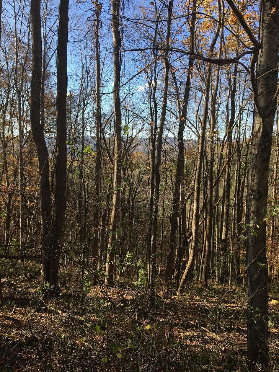 8.5 Acres of Residential Land for Sale in Mountain City, Tennessee
