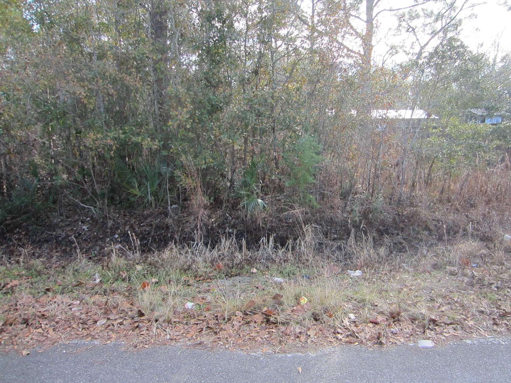 0.21 Acres of Residential Land for Sale in Freeport, Florida