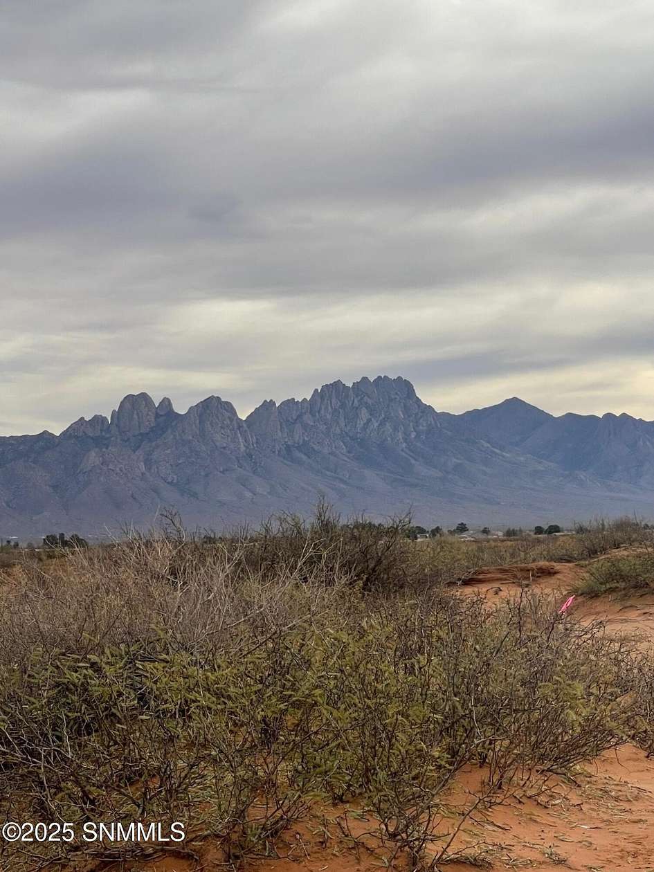 21.9 Acres of Land for Sale in Las Cruces, New Mexico