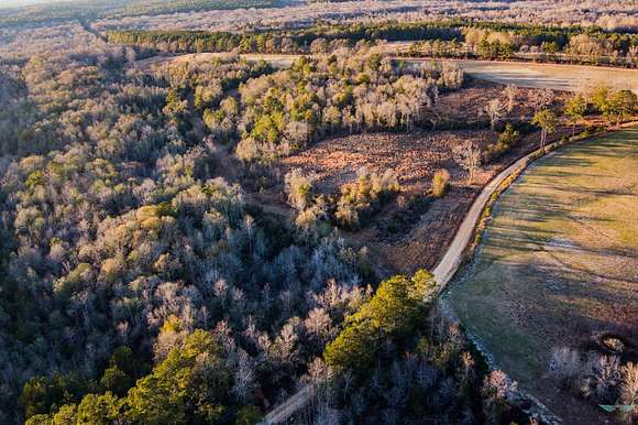 192 Acres of Land for Sale in Brundidge, Alabama