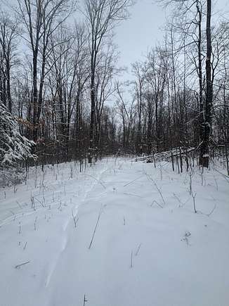 10 Acres of Land for Sale in Hessel, Michigan