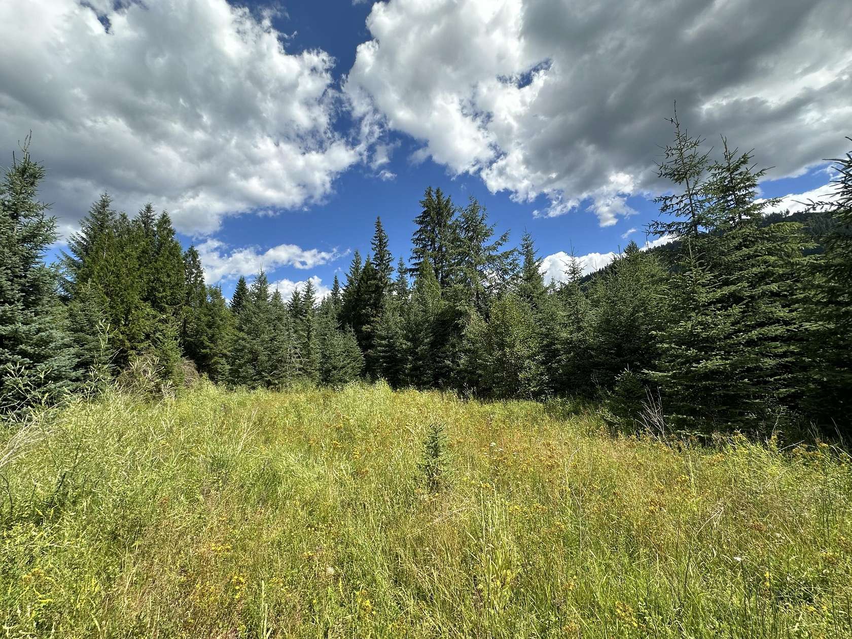 37.3 Acres of Recreational Land for Sale in Colville, Washington