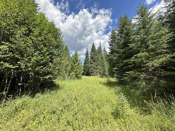 37.25 Acres of Recreational Land for Sale in Colville, Washington