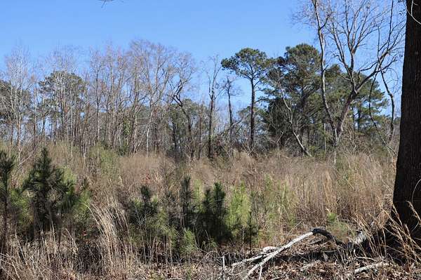 2 Acres of Residential Land for Sale in Mount Pleasant, South Carolina