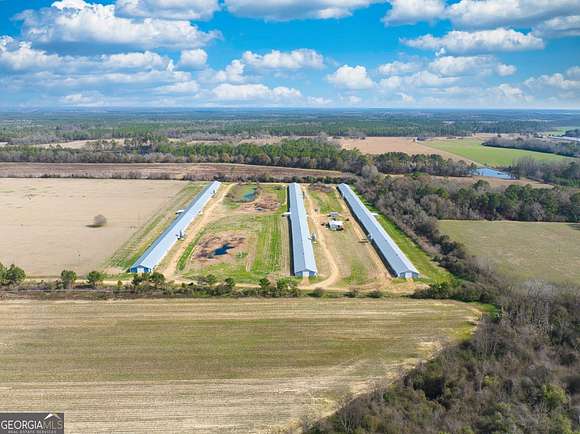 21.12 Acres of Agricultural Land for Sale in Moultrie, Georgia