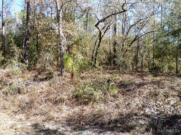 1.13 Acres of Residential Land for Sale in Dunnellon, Florida