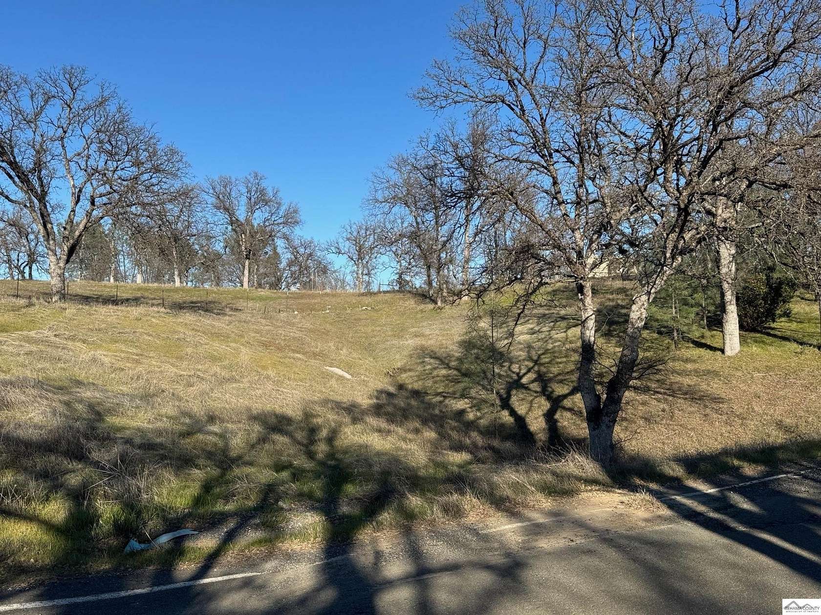 1.56 Acres of Land for Sale in Corning, California