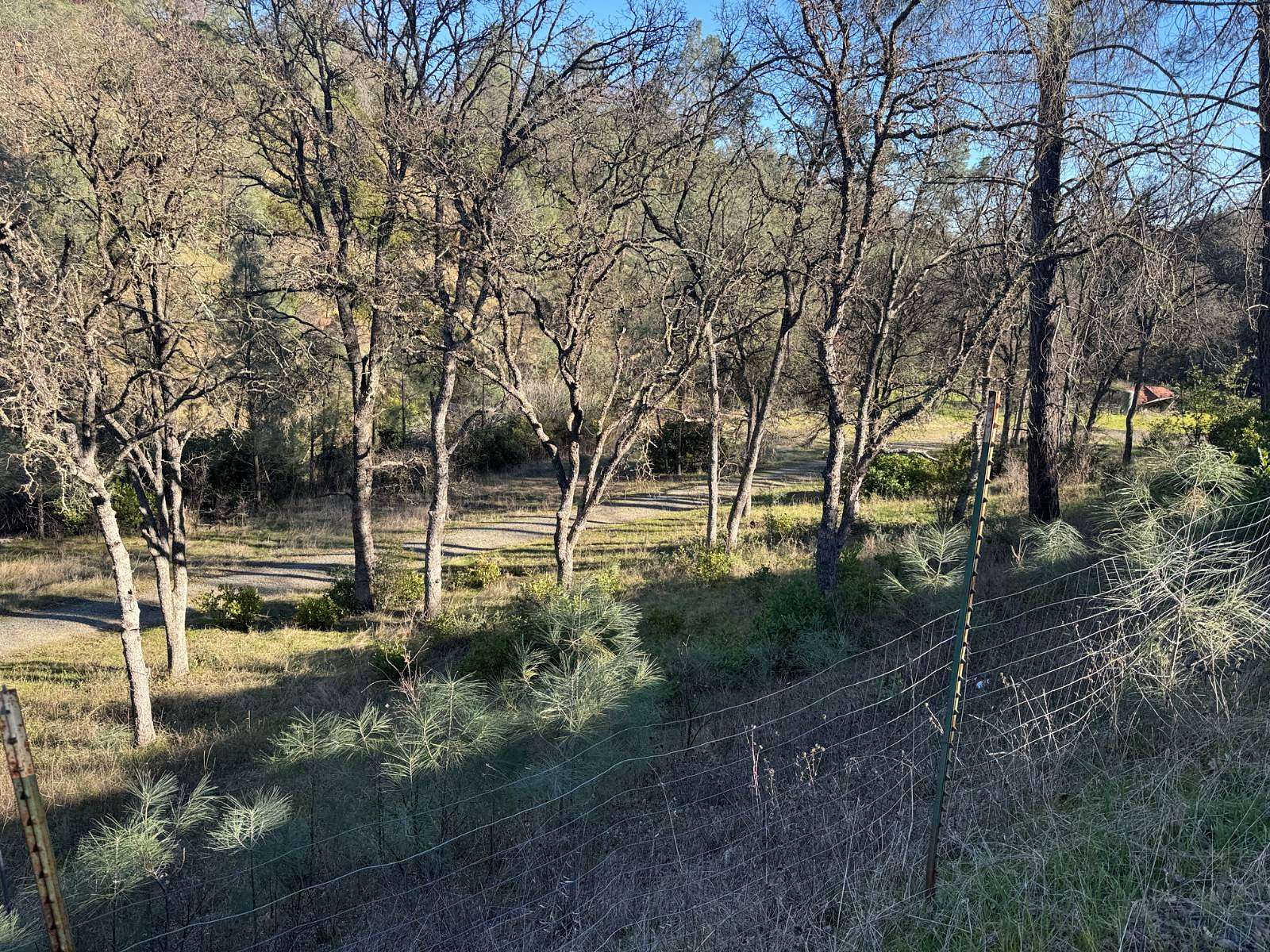 1.63 Acres of Residential Land for Sale in Corning, California