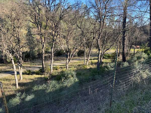 1.63 Acres of Residential Land for Sale in Corning, California