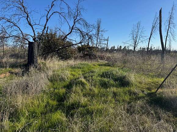 4.27 Acres of Residential Land for Sale in Corning, California