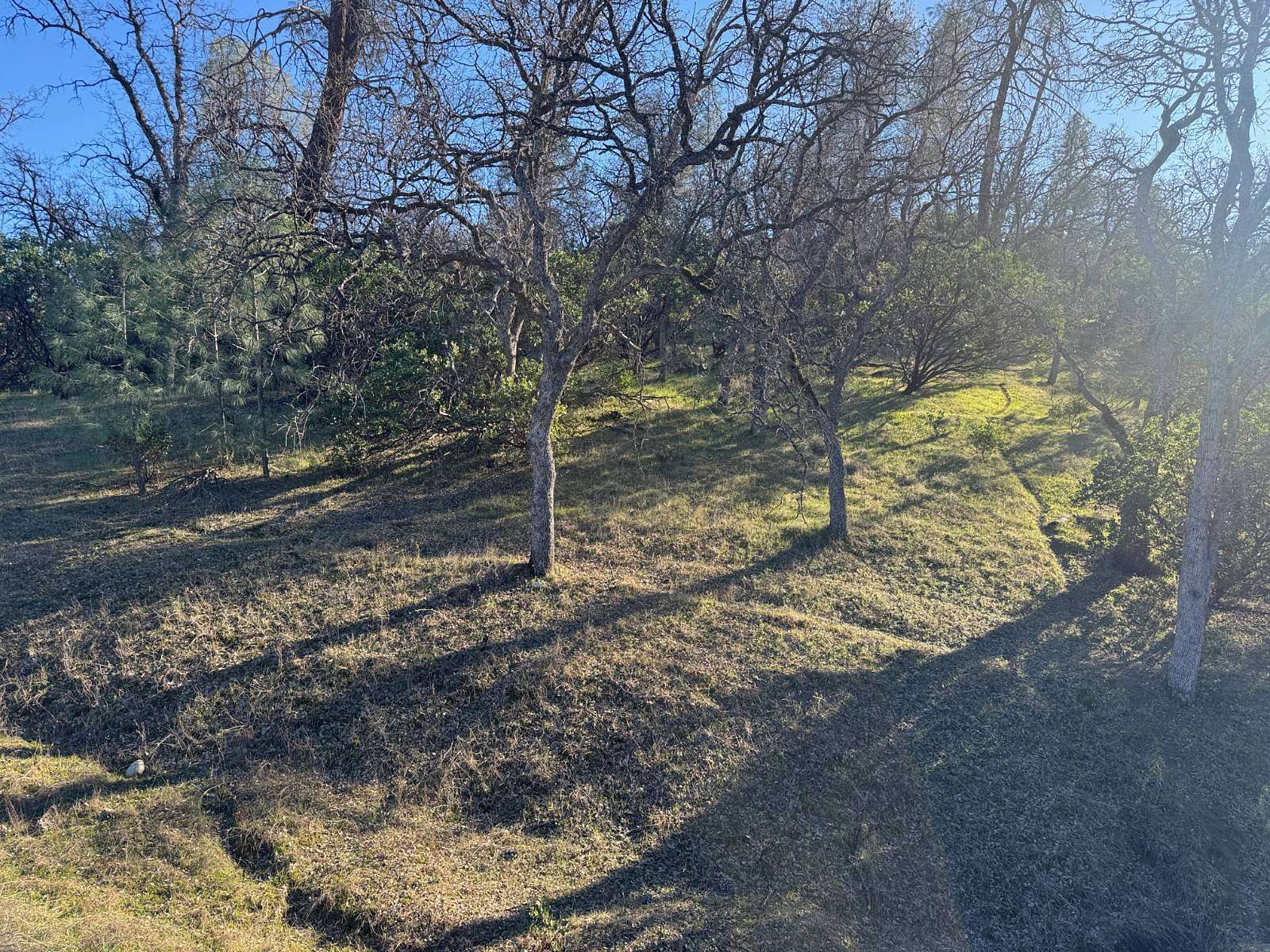 1.35 Acres of Residential Land for Sale in Corning, California