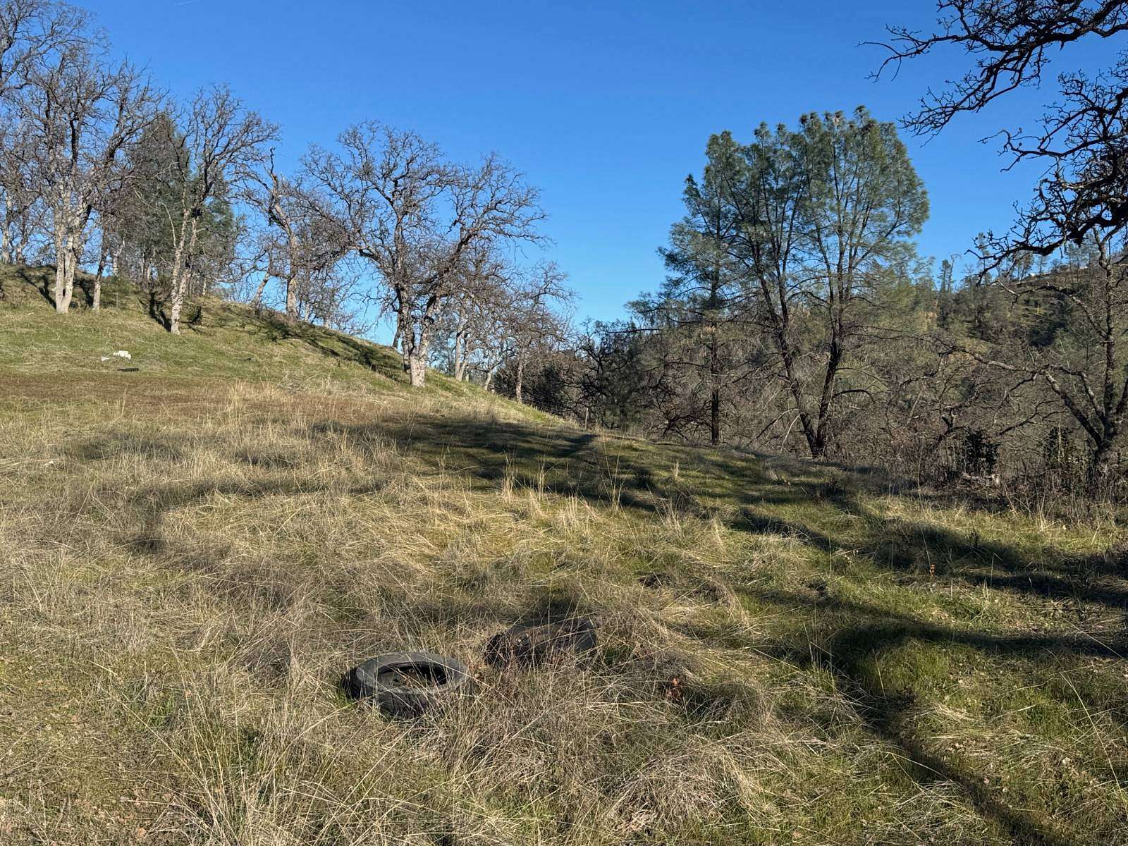 1.14 Acres of Residential Land for Sale in Corning, California