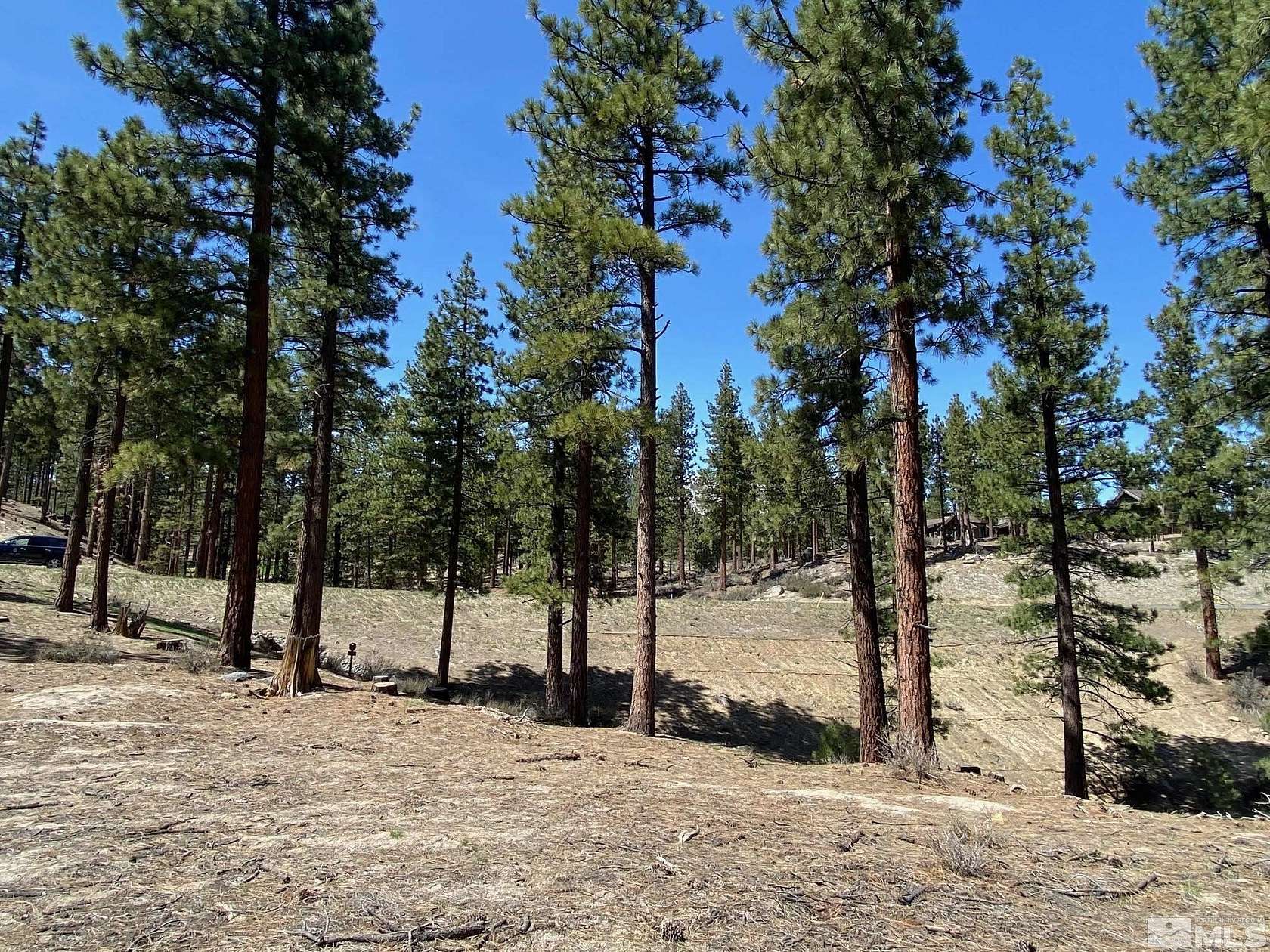 2.29 Acres of Residential Land for Sale in Carson City, Nevada