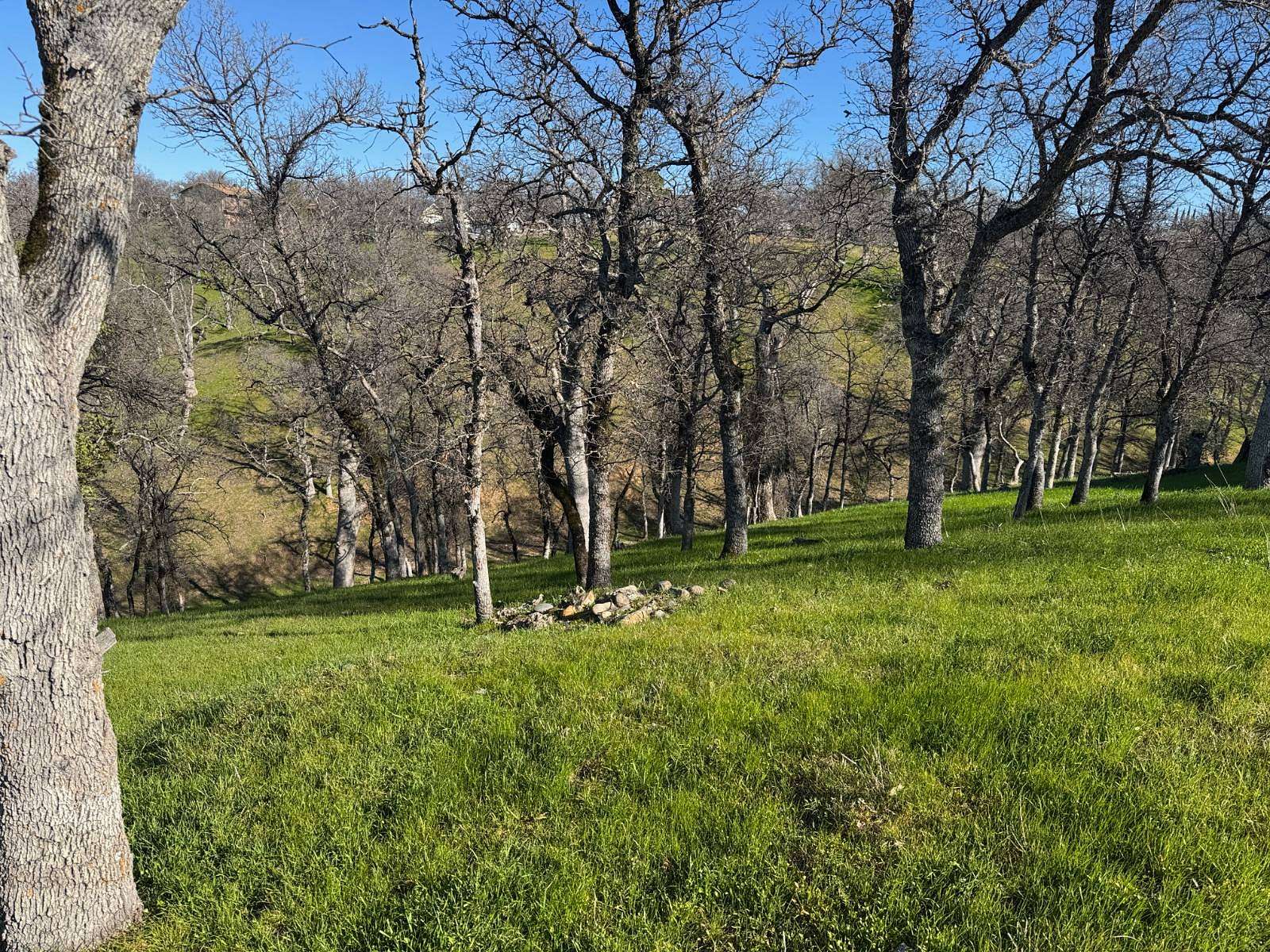 0.27 Acres of Residential Land for Sale in Cottonwood, California
