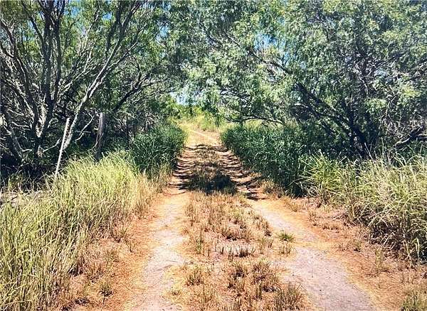 9 Acres of Land for Sale in Bishop, Texas
