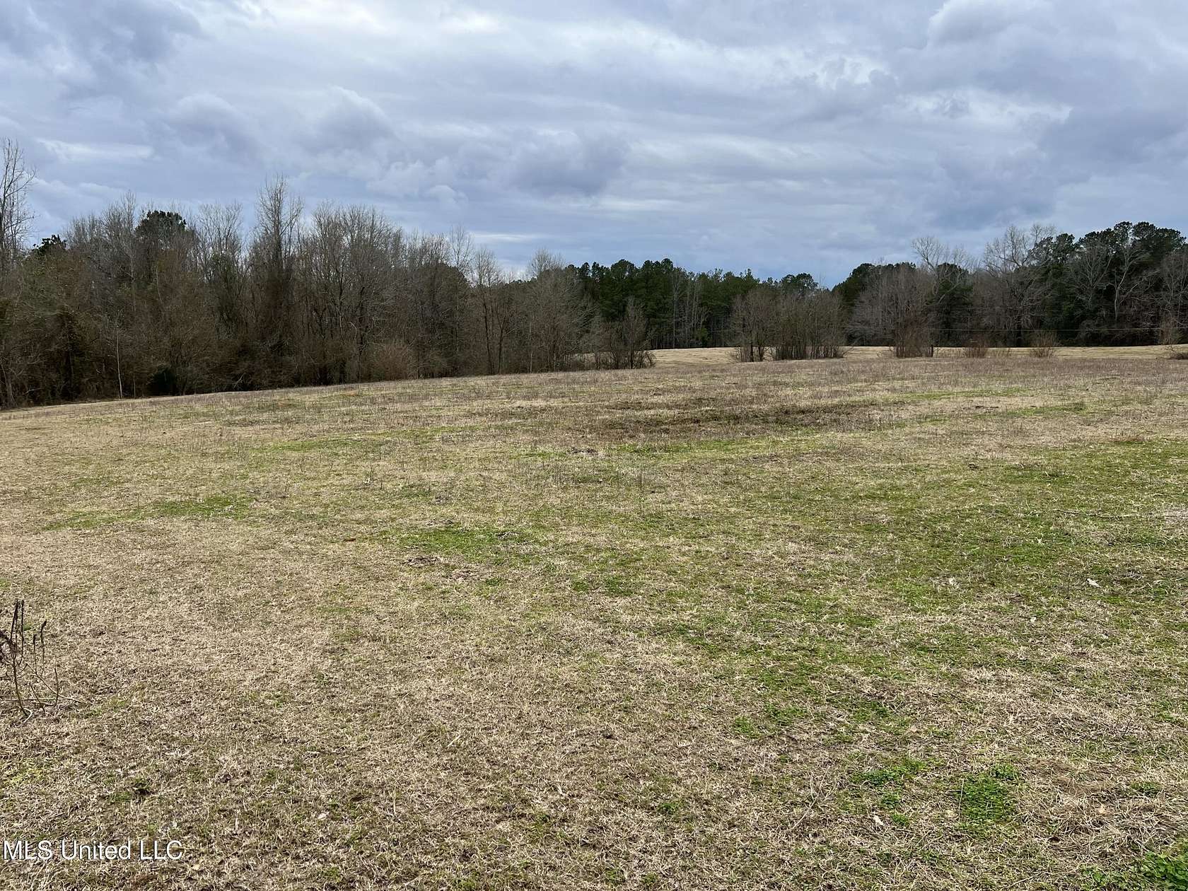 70 Acres of Recreational Land for Sale in Taylorsville, Mississippi