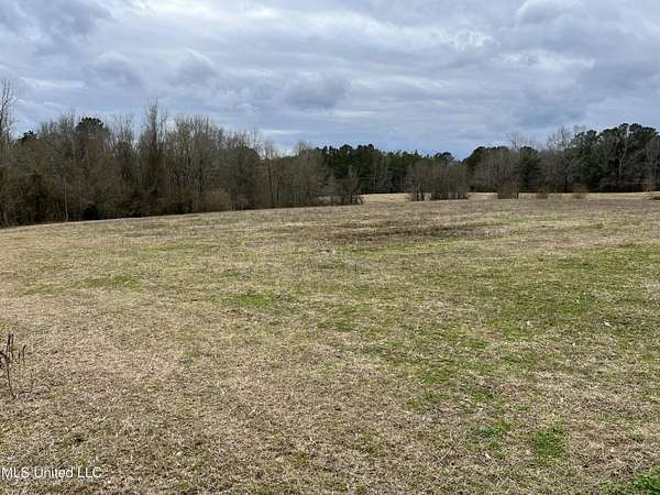 70 Acres of Recreational Land for Sale in Taylorsville, Mississippi