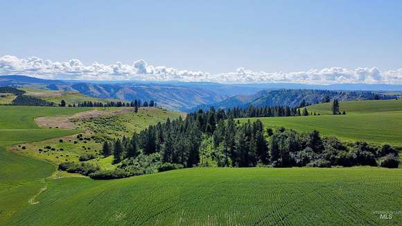 272.35 Acres of Recreational Land & Farm for Sale in Nezperce, Idaho