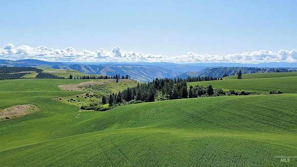 272 Acres of Recreational Land & Farm for Sale in Nezperce, Idaho