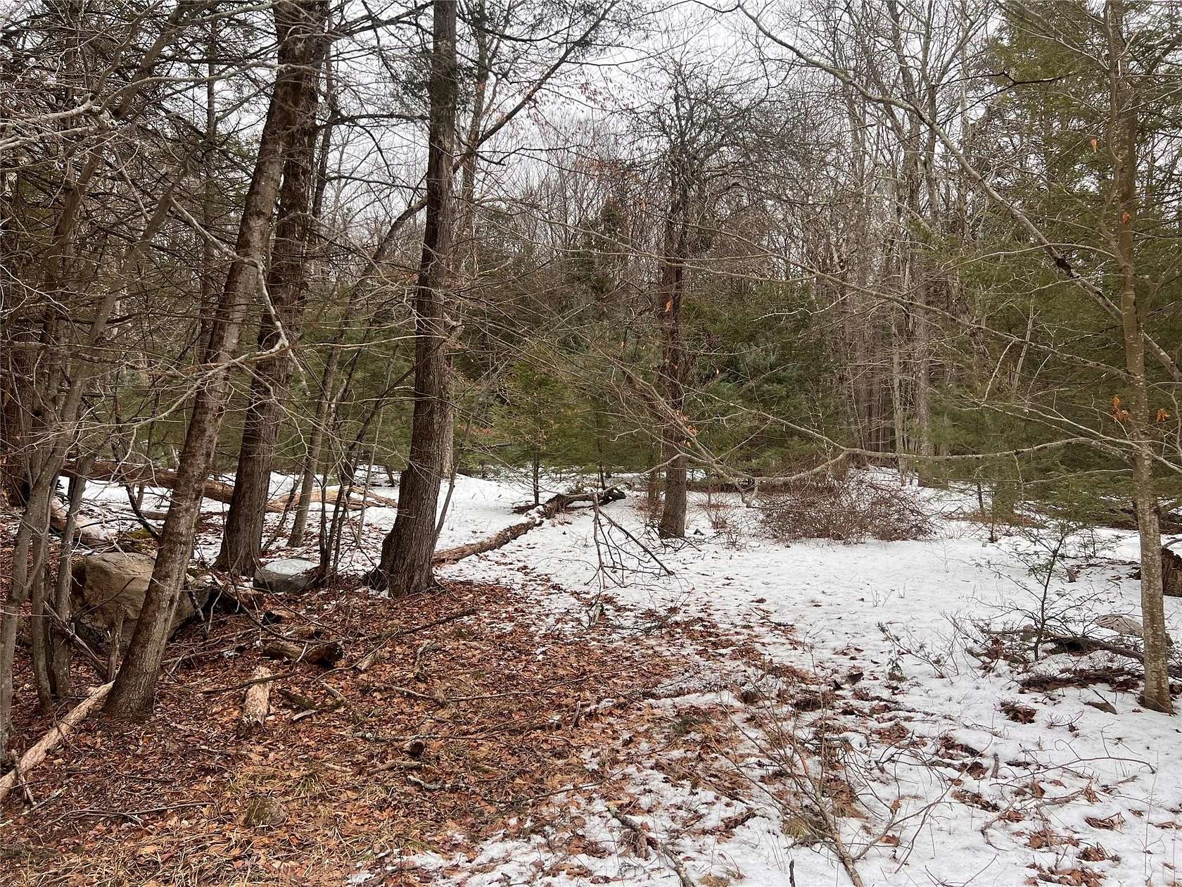 15.4 Acres of Land for Sale in Rock Hill, New York