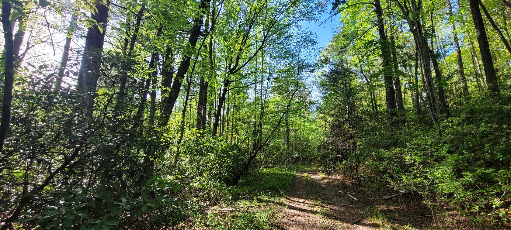 36.8 Acres of Recreational Land for Sale in Brevard, North Carolina
