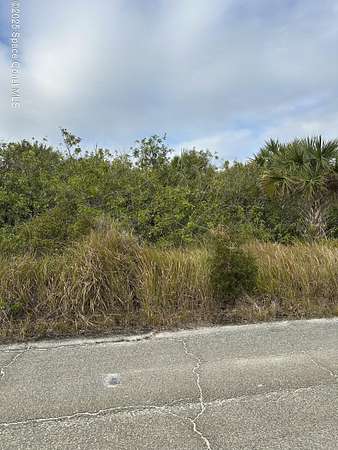 0.23 Acres of Land for Sale in Palm Bay, Florida