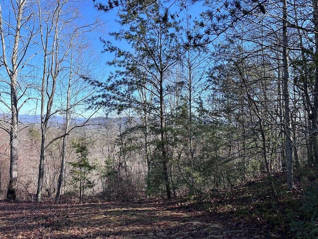 Residential Land for Sale in Murphy, North Carolina