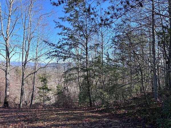 Residential Land for Sale in Murphy, North Carolina